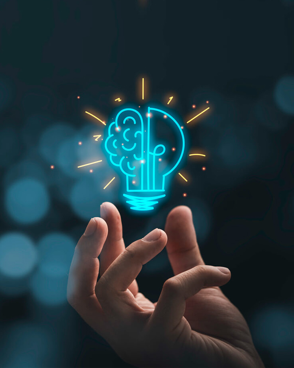 Search Engine Optimization